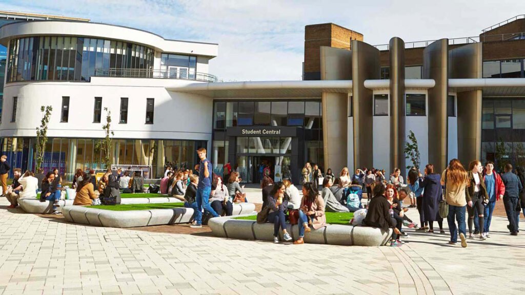 Professional student services providing academic support online